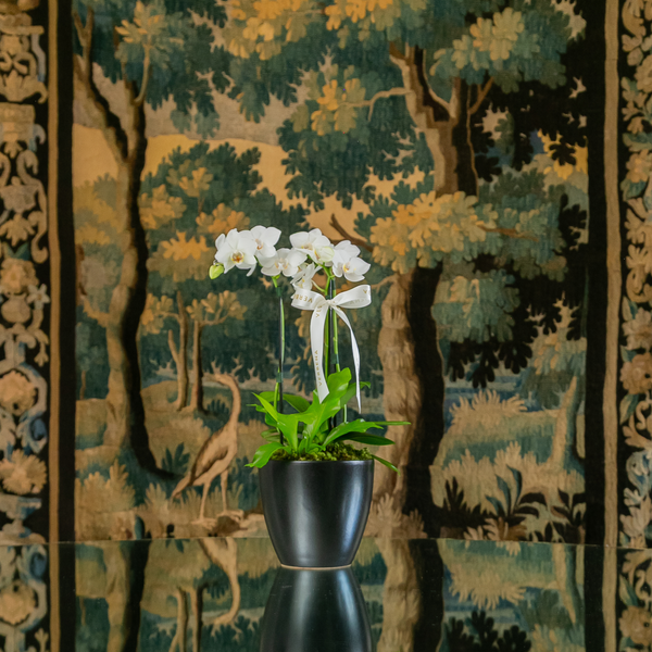 TRIO DE VASOS NERO COM ORQUIDEAS