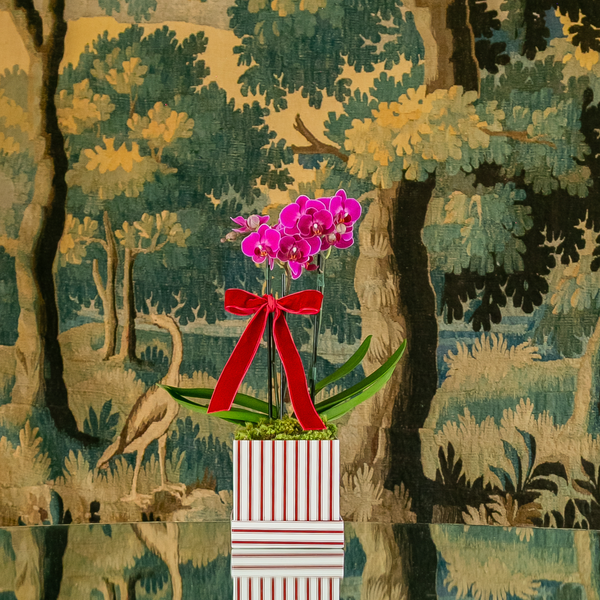 CAIXA PORTOFINO COM ORQUIDEAS PINK