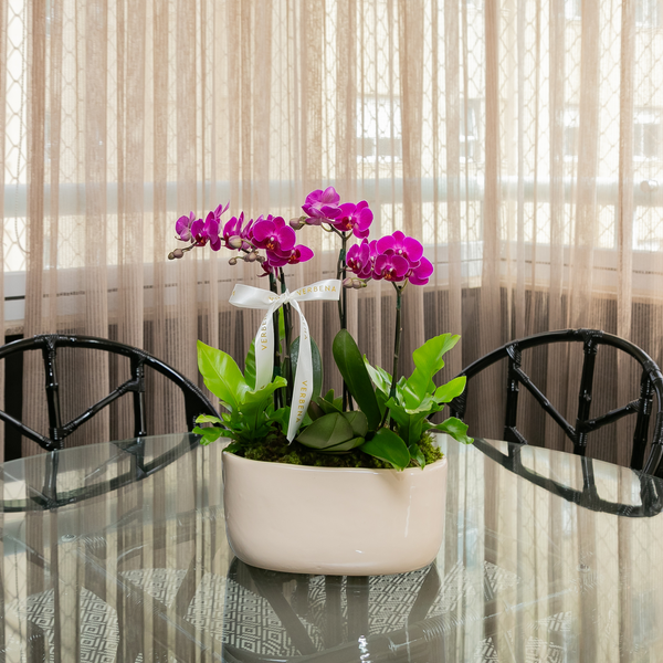 VASO ORACIO COM ORQUIDEAS PINK