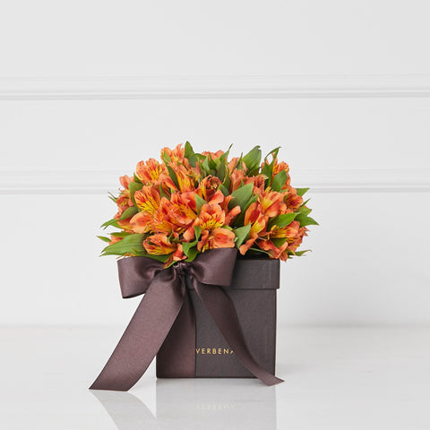 caixa-verbena-flores-laranjas