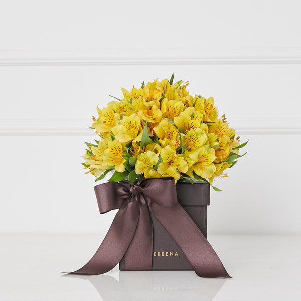 caixa-verbena-flores-amarelas