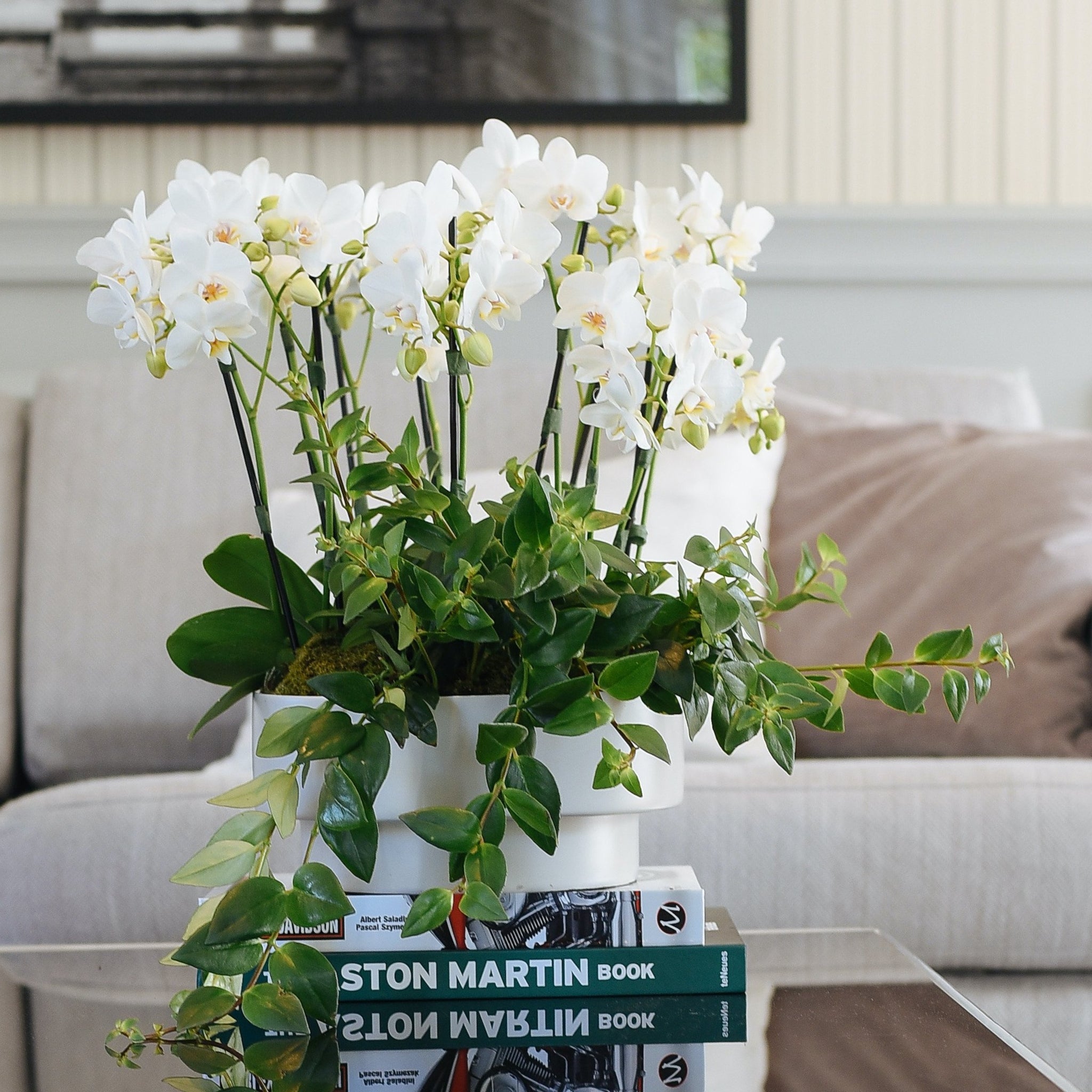 VASO MODERNO COM ORQUIDEAS – Verbena Flores