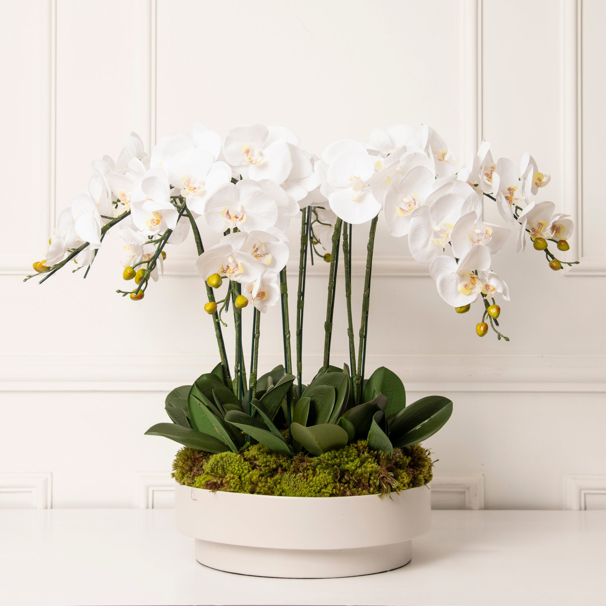 ORQUIDARIUM OFF GG COM ORQUIDEAS FAUX BRANCAS