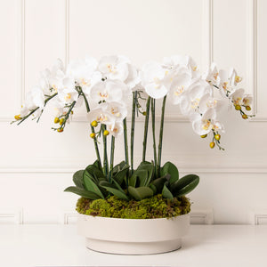 ORCHIDARIUM OFF GG WITH WHITE FAUX ORCHIDS